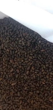 洛南县陕西商洛高含量正品五灵脂
