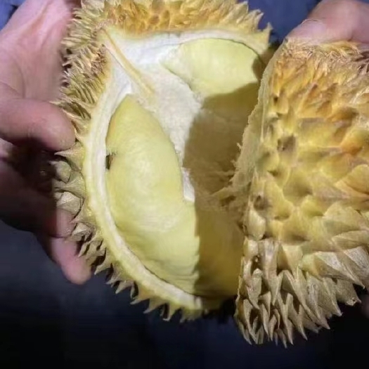 南宁榴莲源头直发，质量三包，童嫂无欺