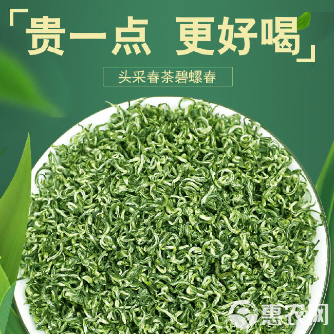 嫩芽碧螺春 明前新茶嫩芽碧螺春绿茶茶叶批发250g500