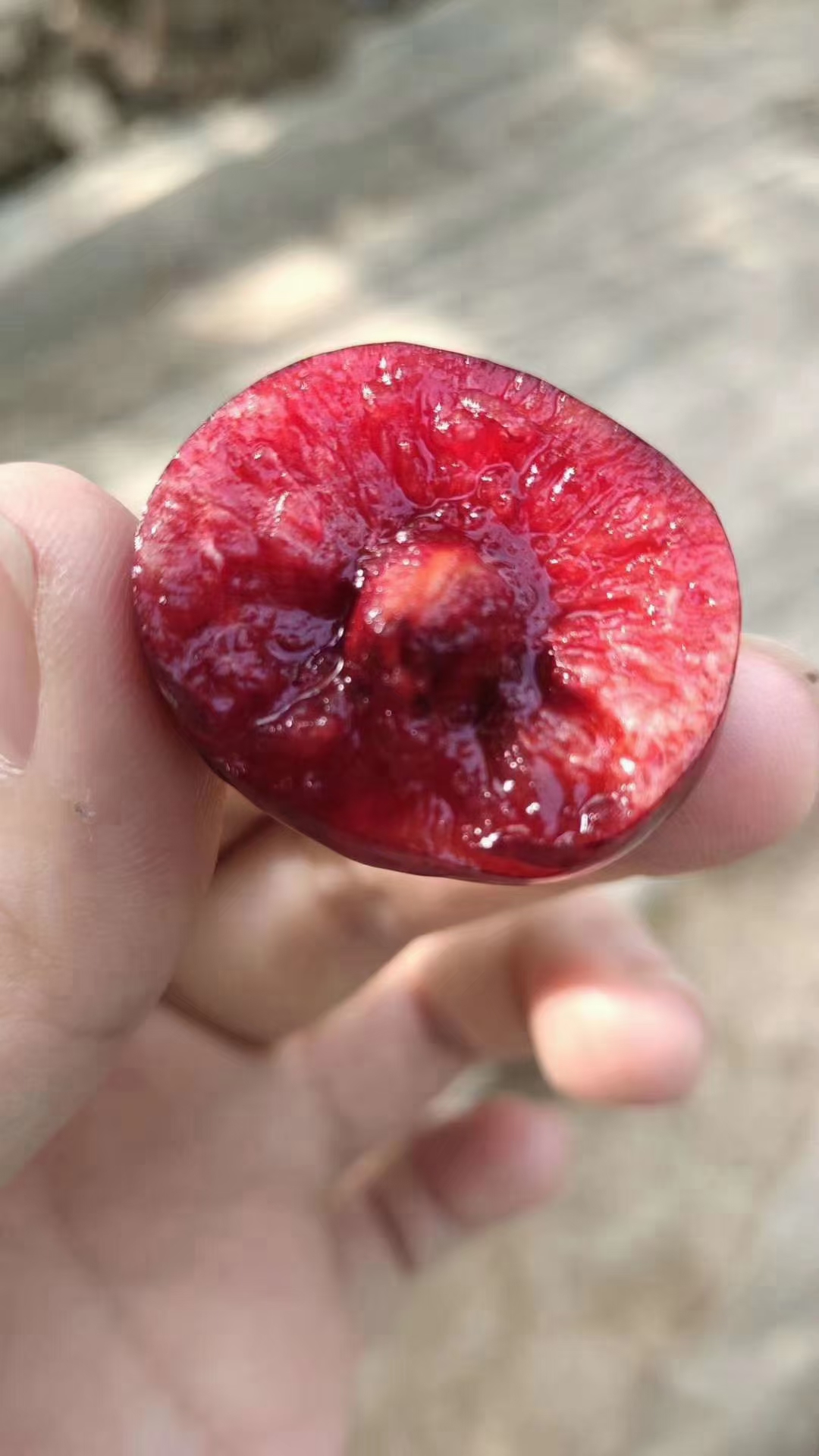 大樱桃