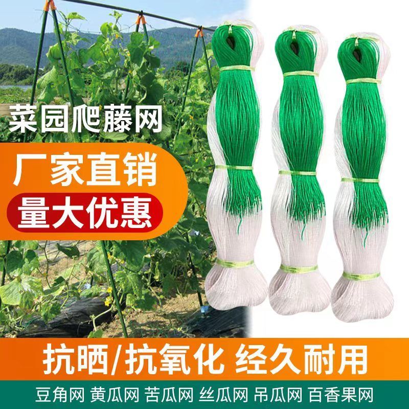 植物爬藤网攀爬瓜网山药豆角豇豆黄瓜苦瓜丝瓜吊瓜百香果种植网