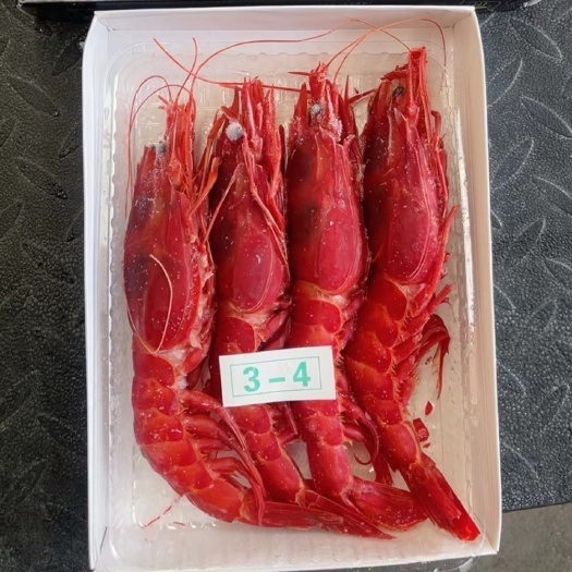上海红魔虾