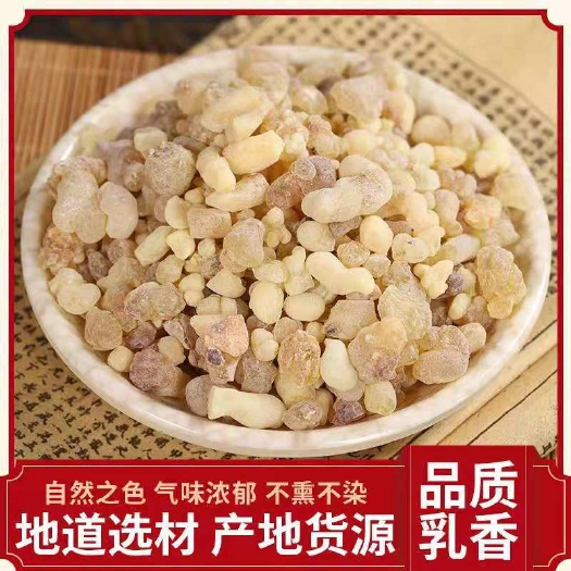 亳州乳香 批发优质乳香珠 规格齐全可供实体店批发零售 量大价优