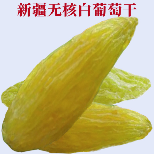 吐鲁番新疆无核白葡萄干吐鲁番市免洗自然散货干果树上黄零食包邮批发
