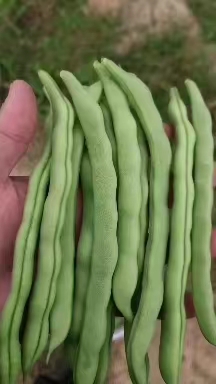 йļйӦӭȫϰؿ