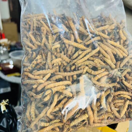 成都亚香棒批发有需要小窗咨询