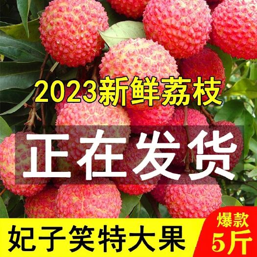 高州市妃子笑荔枝当季新鲜水果黑叶白糖罂桂味糯米糍海南广东高州鲜荔枝
