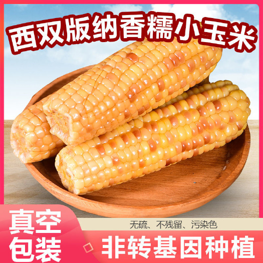 云南西双版纳花糯玉米新鲜即食粘玉米