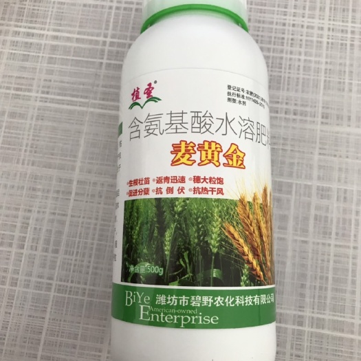 小麦叶面肥 麦黄金 氨基酸水溶肥 穗大粒饱 抗倒伏 500克