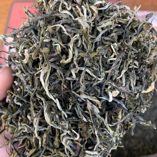 景洪市茶叶早春绿茶