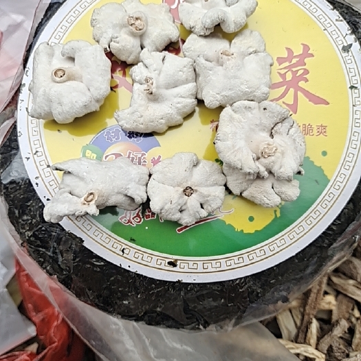 新化县优秀礼品白参菌