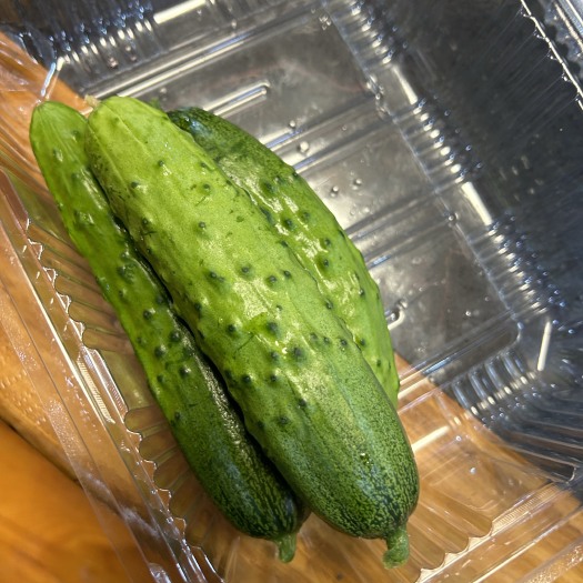 秋黄瓜旱黄瓜刺黄瓜小黄瓜老味黄瓜