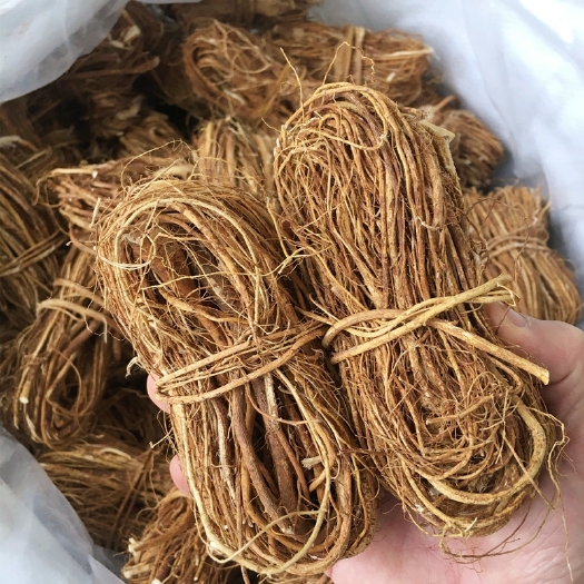 连南县五指毛桃