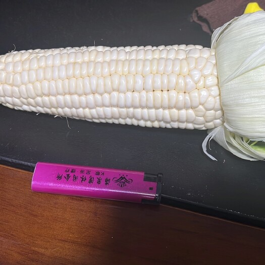 广州高品质甜糯玉米6-8两量不多，广州本地货需要联系