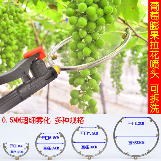 故城县葡萄猕猴桃开放式浸果器催红拉花拉穗膨大膨果器喷雾器雾化喷头
