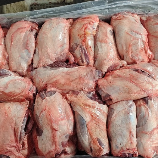 临沭县猪副产品鲜冻母猪前健