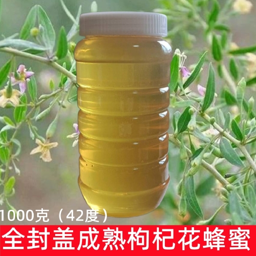 长葛市青海枸杞蜜 农家自产 天然成熟蜂蜜 正品纯度蜂蜜
