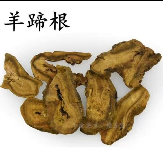 鄄城县土大黄 羊蹄根产地货源 量大优惠