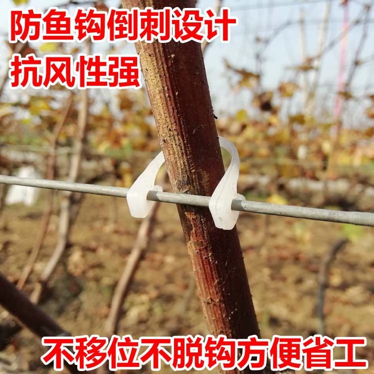 故城县绑枝卡绑蔓卡枝条固定卡葡萄猕猴桃绑枝卡扣扎丝绑枝条新款