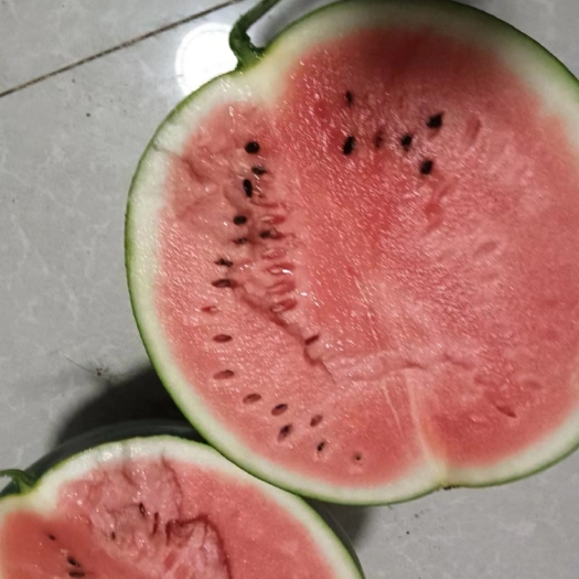 南宁广西麒麟瓜