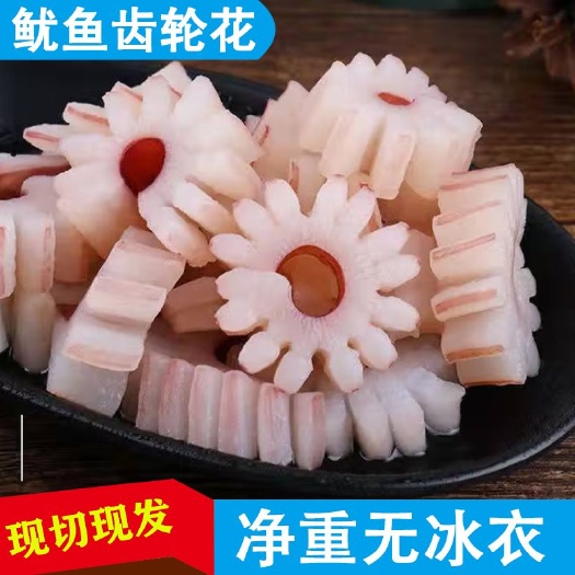 连云港鱿鱼花鱿鱼齿轮花新鲜冷冻鱿鱼卷鱿鱼条捞汁海鲜火锅餐饮食材批发