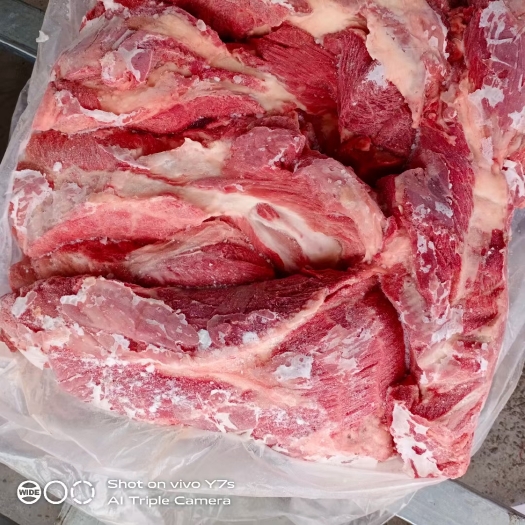 猪副产品鲜冻母猪①号肉