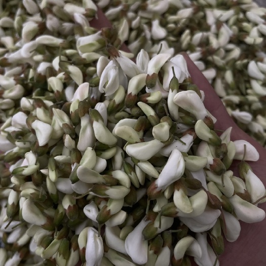 洛宁县精品槐花出售