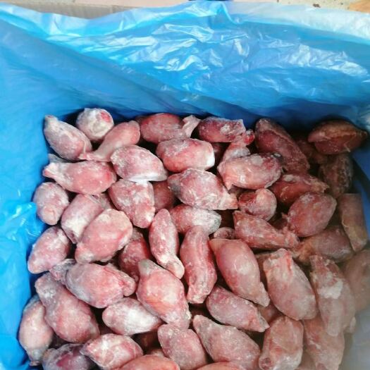 河间市羔羊羊宝