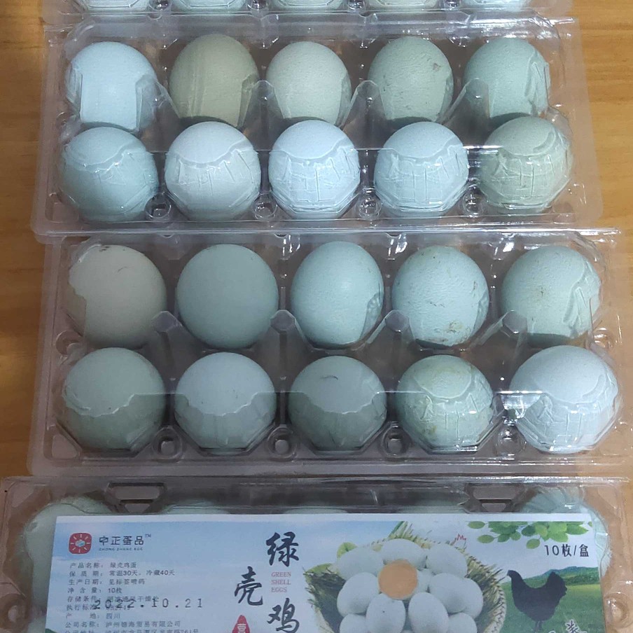长宁县绿壳乌鸡种蛋