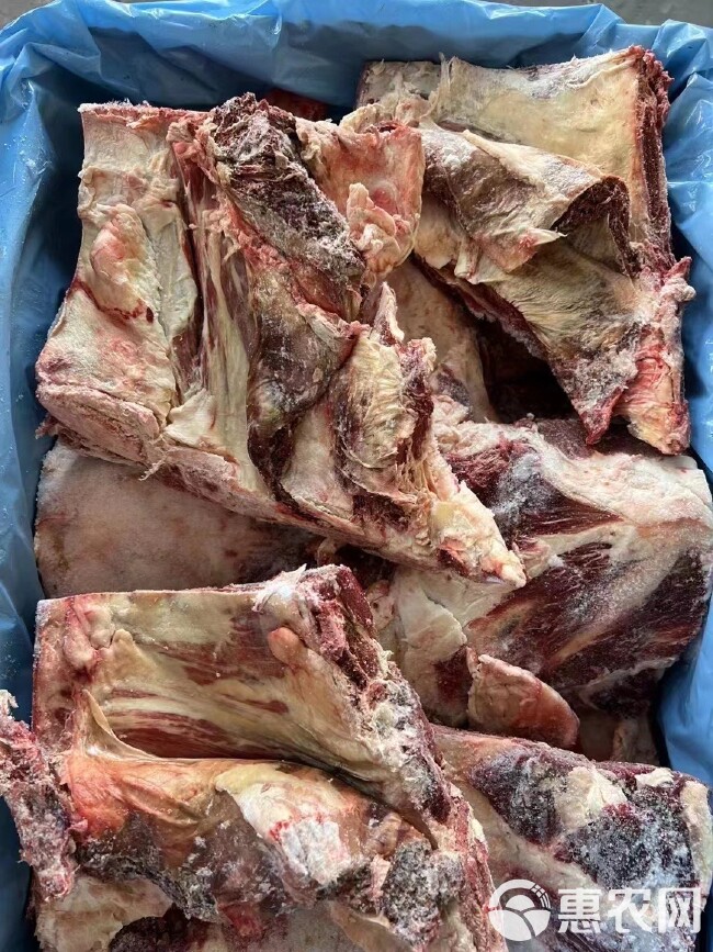 牛腩排 （脐橙板）牛排锅食材 肉含量超高 肉多骨头小 源头工