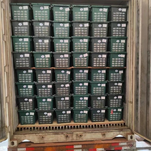 昆明泰国山竹