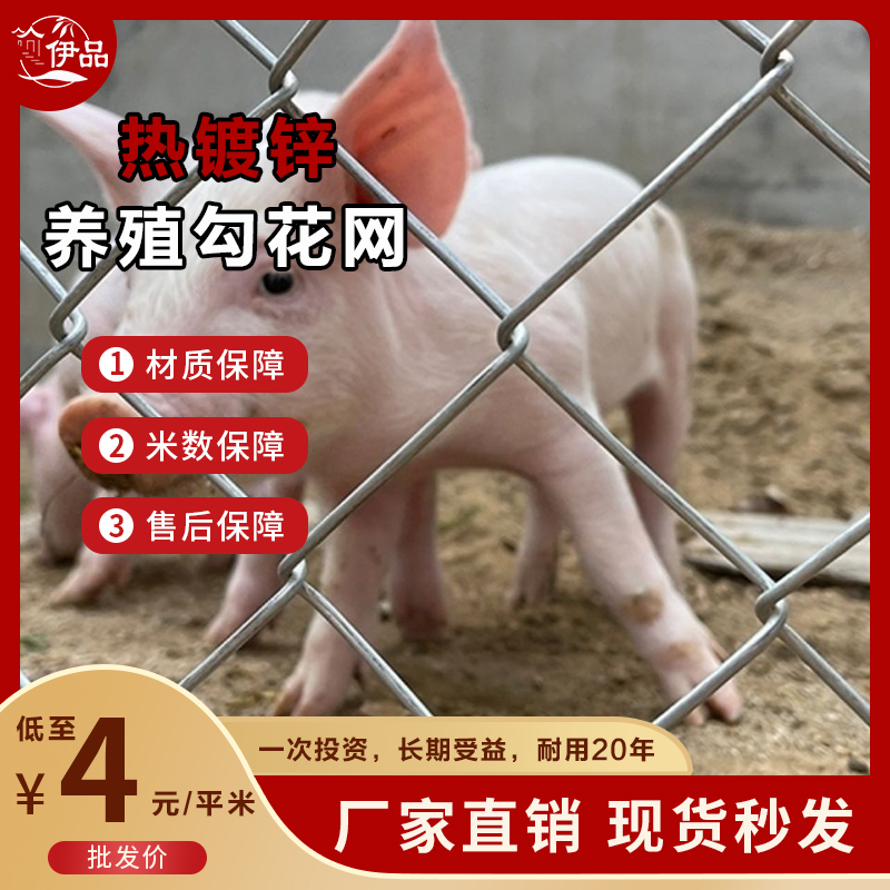 安平县勾花护栏网围栏网防护网隔离网圈山圈地圈牛羊鸡鸽兔笼养殖种植网
