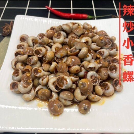 连云港鲜冻香螺，无沙红香螺，爆炒红烧生淹捞汁，饭店烧烤批发团购