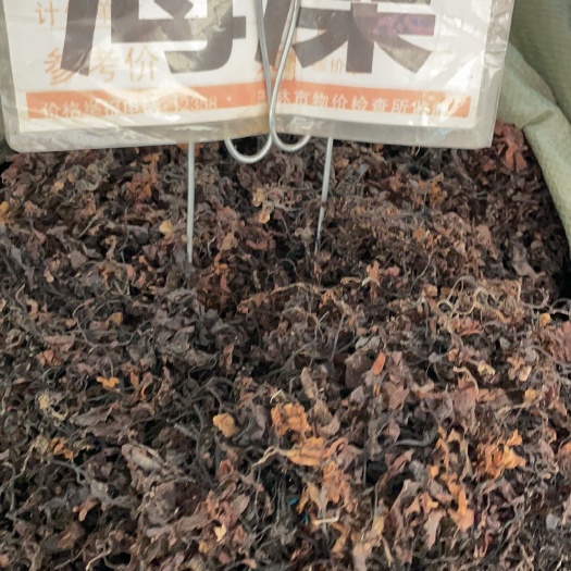 玉林海藻 批发零售中药材 一斤起发  新货 量大从优 一件代发