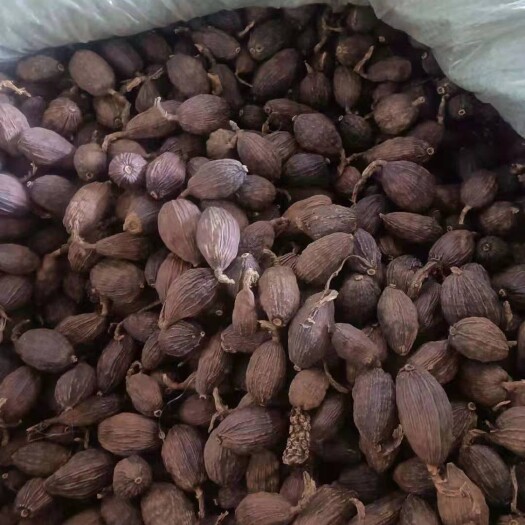 东兴市越南草果