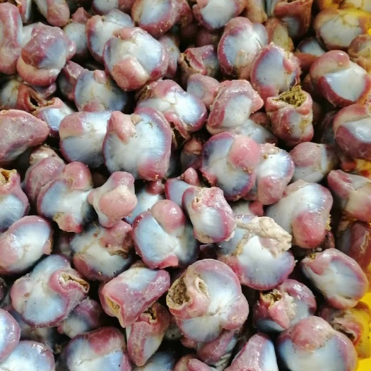珠海鸡胗，量大可优惠