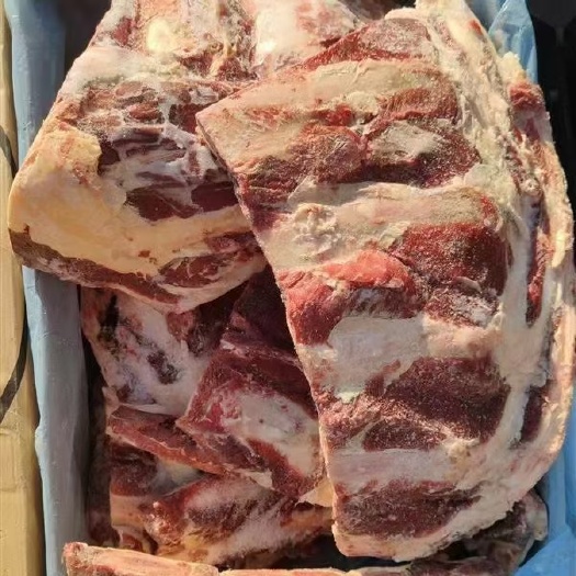河间市牛骨  牛胸骨(牛小排)