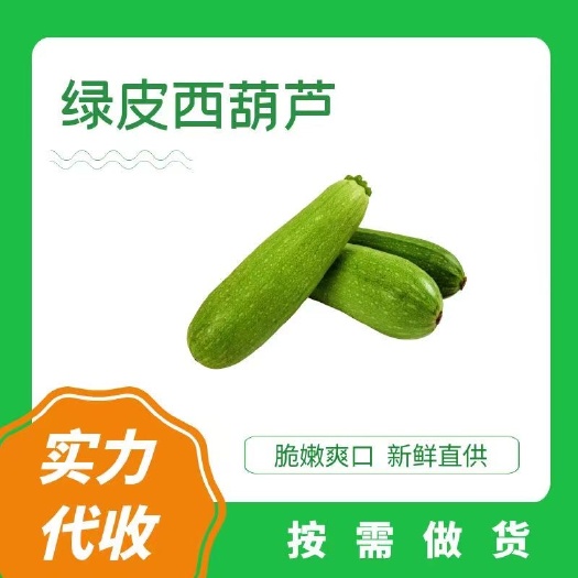 寿光市(实力）产地西葫芦 大量有货  对接电商，超市，档口，欢迎致