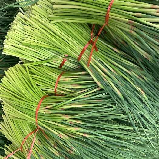 （农户种植）蒜苔种植户 25年新货 村里种植的千亩大蒜诚招收