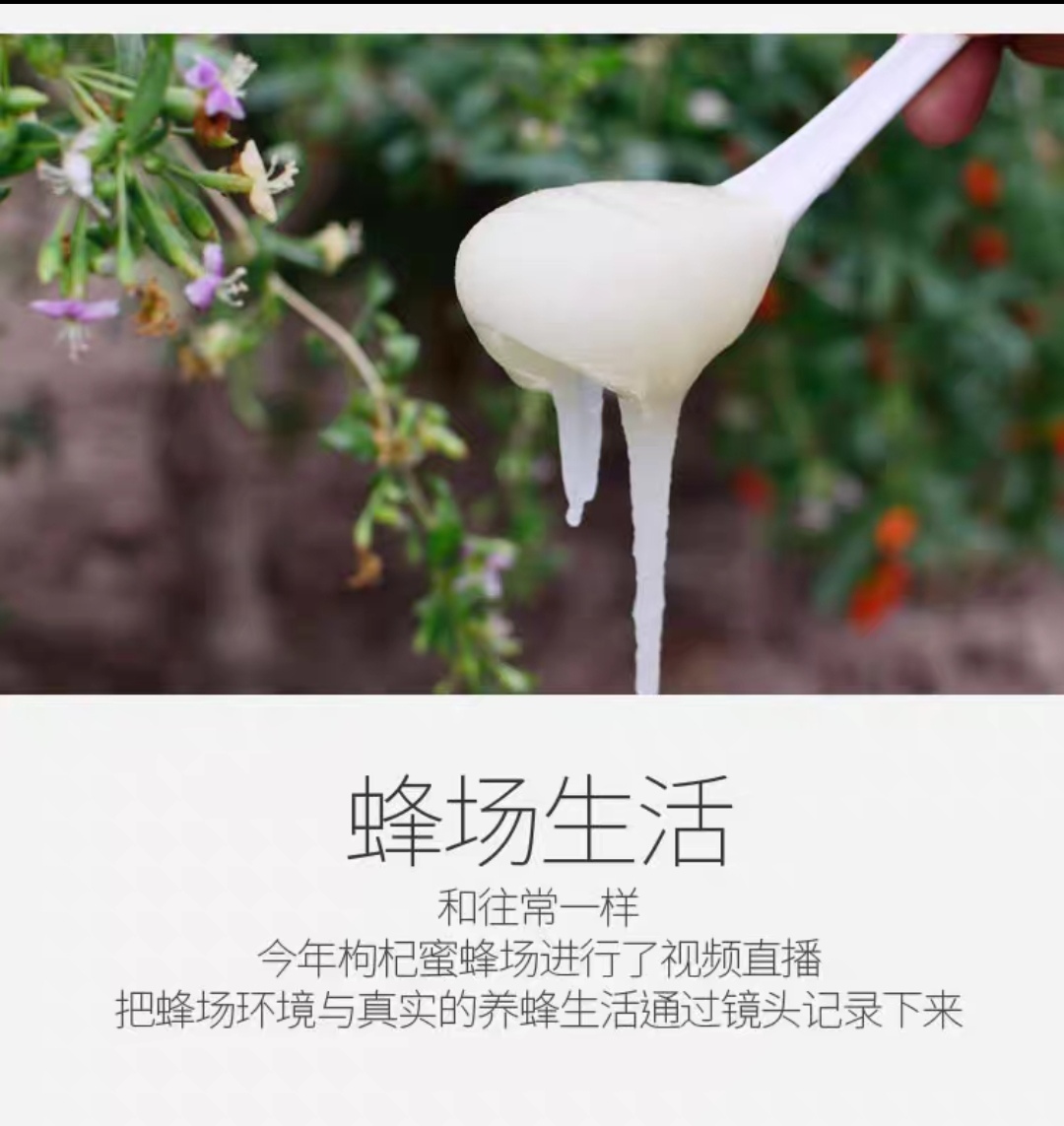 青海枸杞蜜 農(nóng)家自產(chǎn) 天然成熟蜂蜜 正品純度蜂蜜