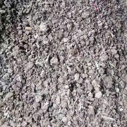 光泽县福建浙江江西地区纯鸡粪，圣农纯鸡粪，有机肥原料，纯干鸡粪
