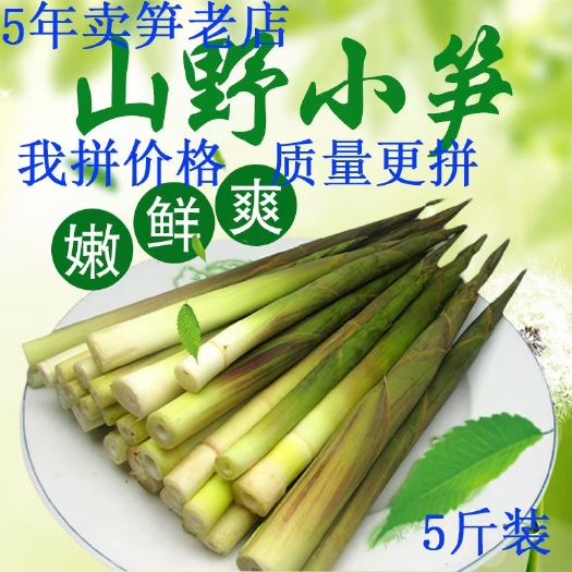 白河县陕南竹笋