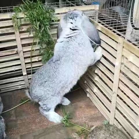 عãɳ30ϣ2ֻʣѴ