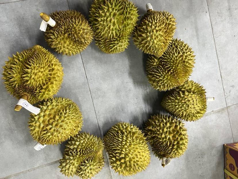 ݡ̩ƹ  ȫ깩Ӧ ̸