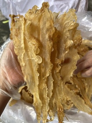 广州鳕鱼胶老款 肉厚 含有丰富胶原蛋白 一手货源产地直供