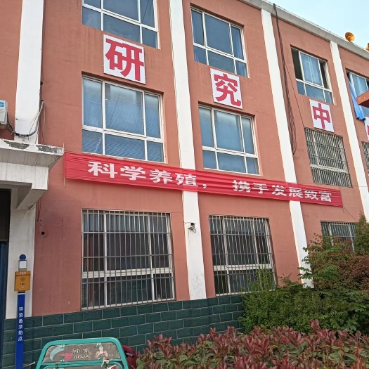 嘉祥县土元虫卵