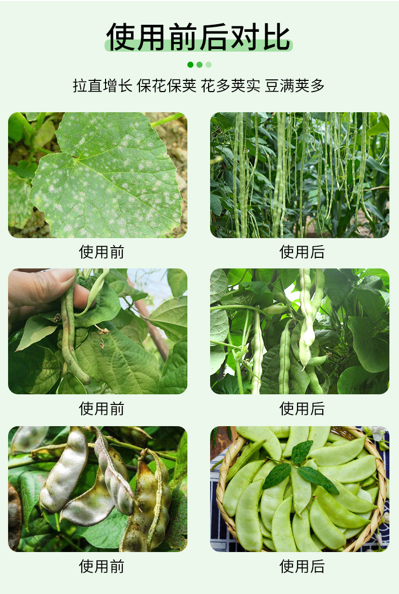 豆角专用肥，矿源黄腐酸钾型，厂家直销，品质保证