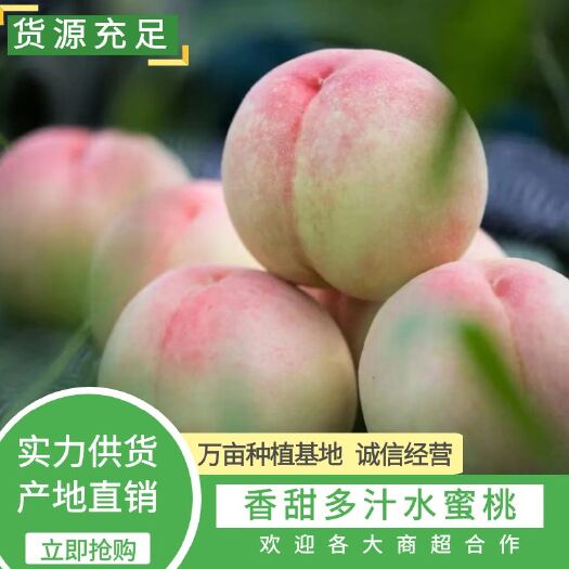 【推荐】无锡水蜜桃 香甜多汁 新鲜现摘 应季水果快速发货