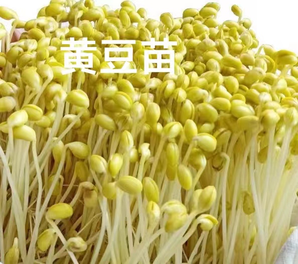 ʻƶֲ֮ȳƵ
