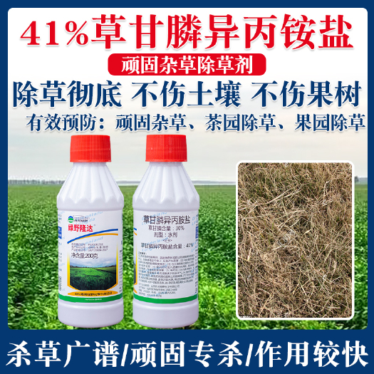 辛集市绿野隆达 41%甘膦异丙胺盐 柑橘园非耕地杂草除草剂整箱批发